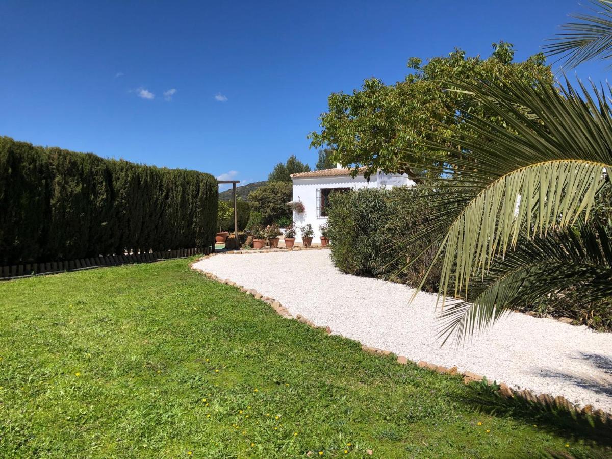 Casa La Alegria 37 Bed & Breakfast Villanueva de Tapia Dış mekan fotoğraf