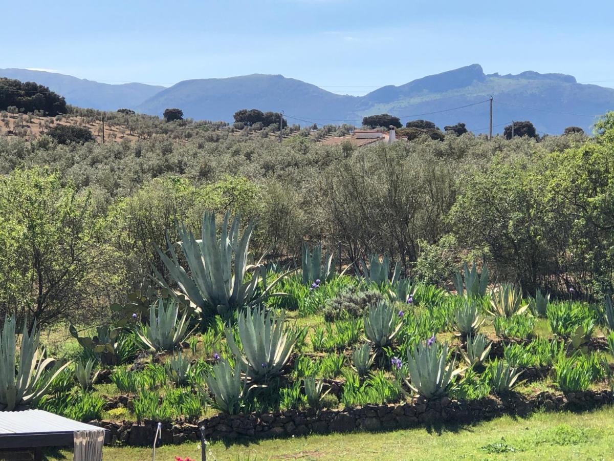 Casa La Alegria 37 Bed & Breakfast Villanueva de Tapia Dış mekan fotoğraf