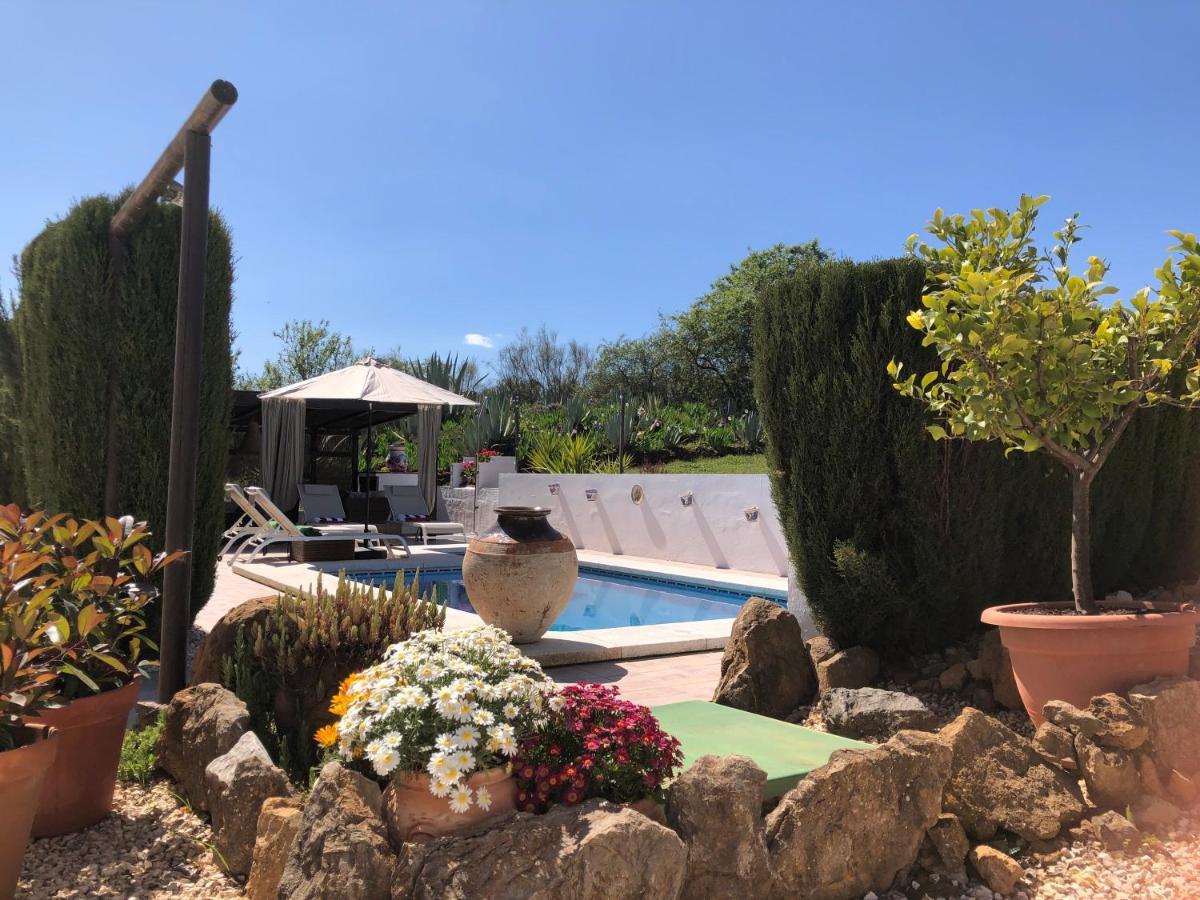 Casa La Alegria 37 Bed & Breakfast Villanueva de Tapia Dış mekan fotoğraf