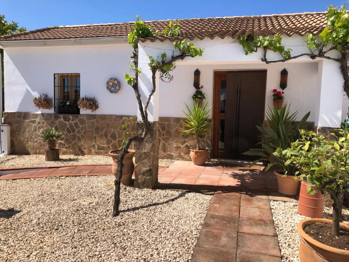 Casa La Alegria 37 Bed & Breakfast Villanueva de Tapia Dış mekan fotoğraf