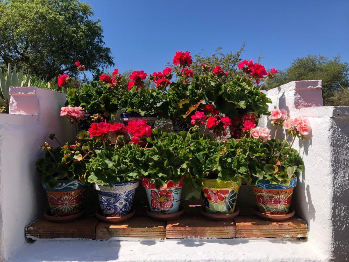 Casa La Alegria 37 Bed & Breakfast Villanueva de Tapia Dış mekan fotoğraf